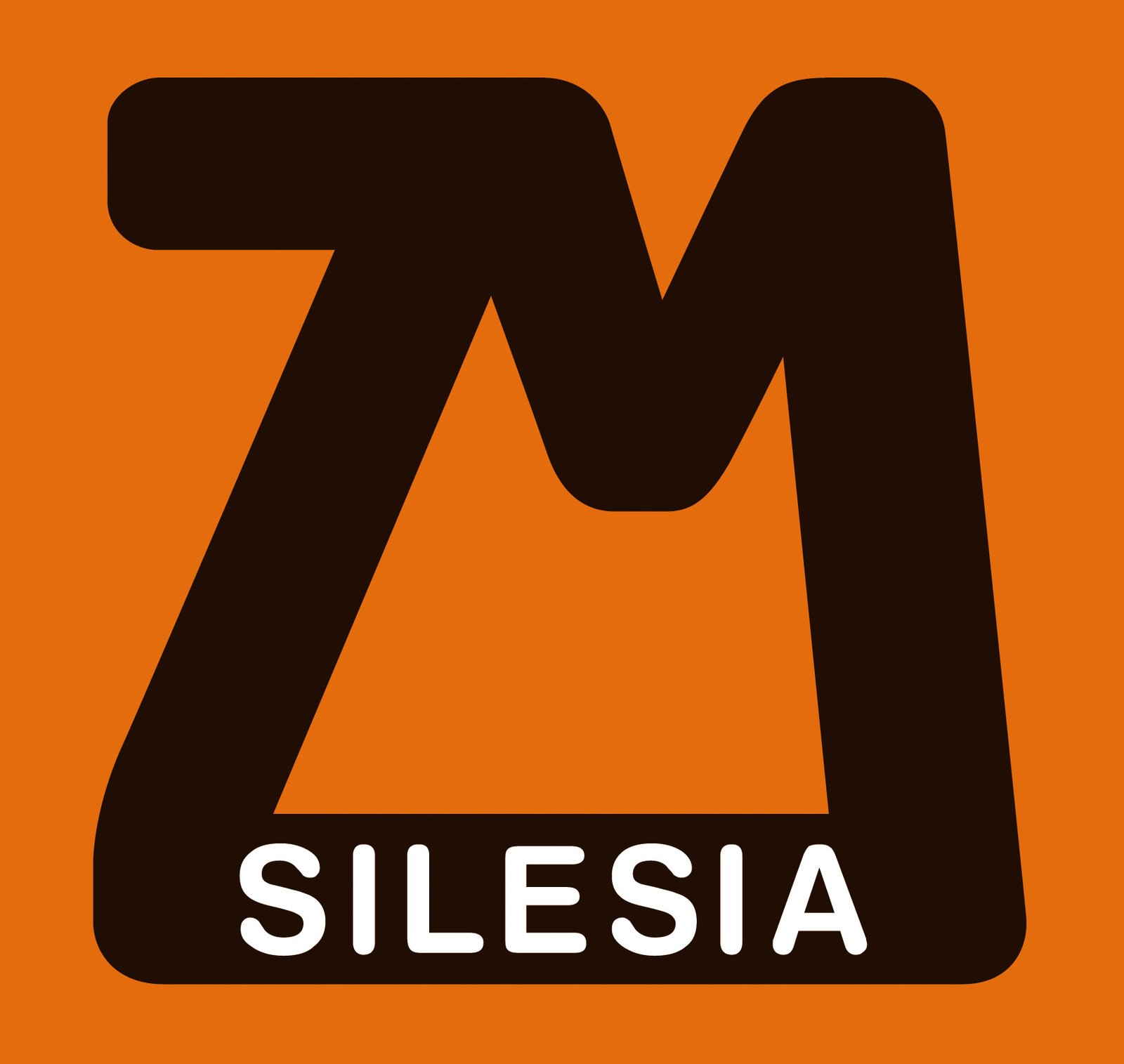 ZM Silesia S.A.